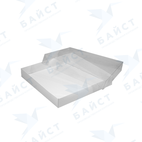 Ткп 300х300х048 белая открытая (500х500)